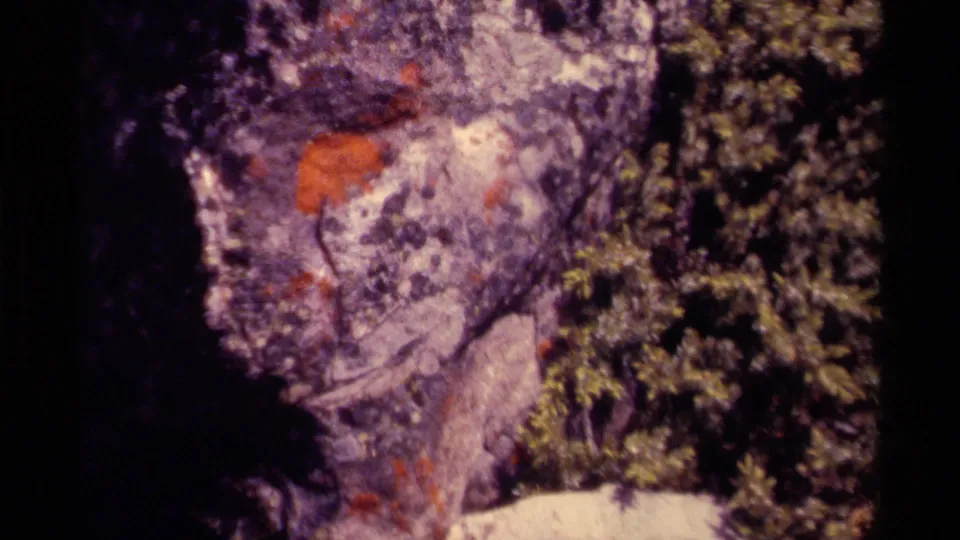 1979 8mm home-movie frame from Canada showing a rough rock face with orange lichen and nearby greenery.