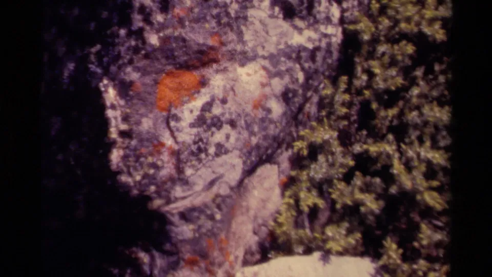 1979 Canadian home-movie frame showing textured rock, orange lichen patches, and leafy vegetation at the frame edge.