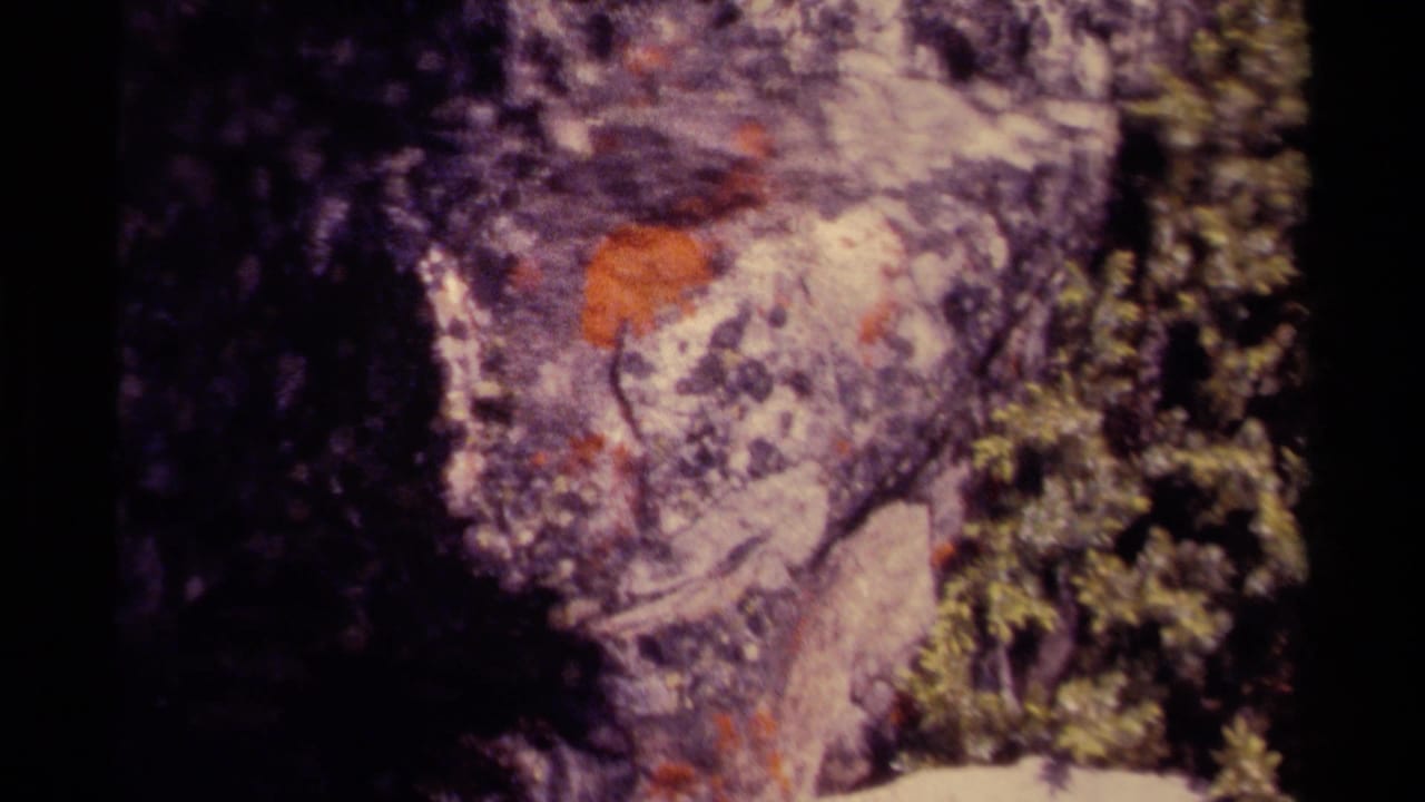 Close view of purple-gray rock with orange lichen and foliage along the right edge.