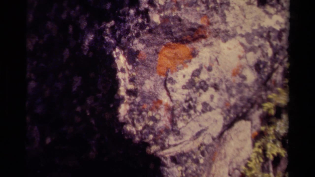 Rock face with orange lichen near the upper center and leafy greenery at the right edge.