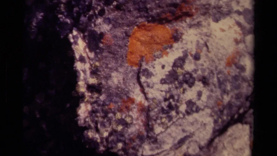 1979 Canadian 8mm frame showing a close rock detail with a large orange lichen patch, mottled dark spots, and purple-gray stone.