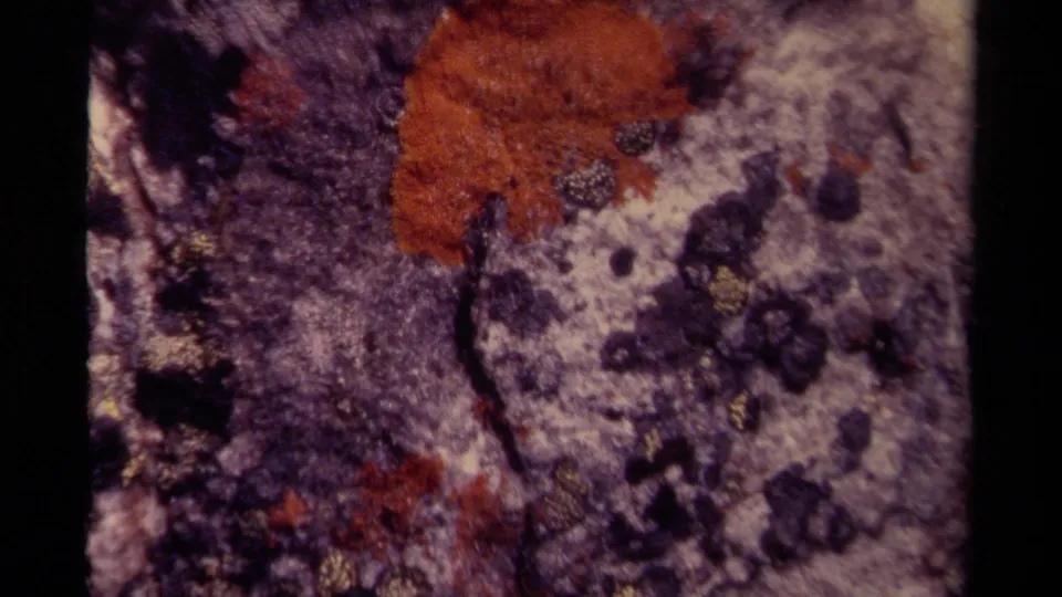 1979 Canadian 8mm frame of rough purple-gray rock with orange lichen, dark circular markings, and soft home-movie grain.