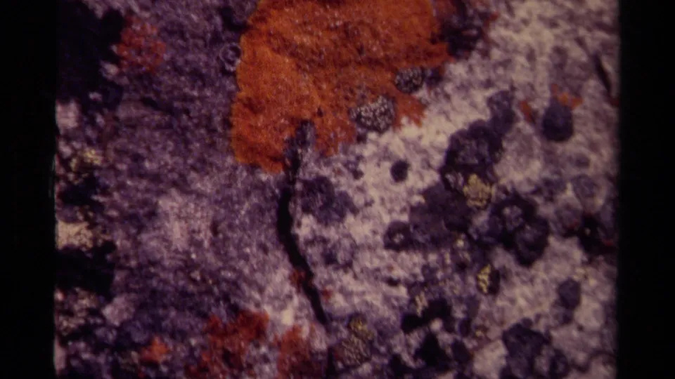 1979 Canadian 8mm frame showing orange lichen and dark moss patches across weathered rock.