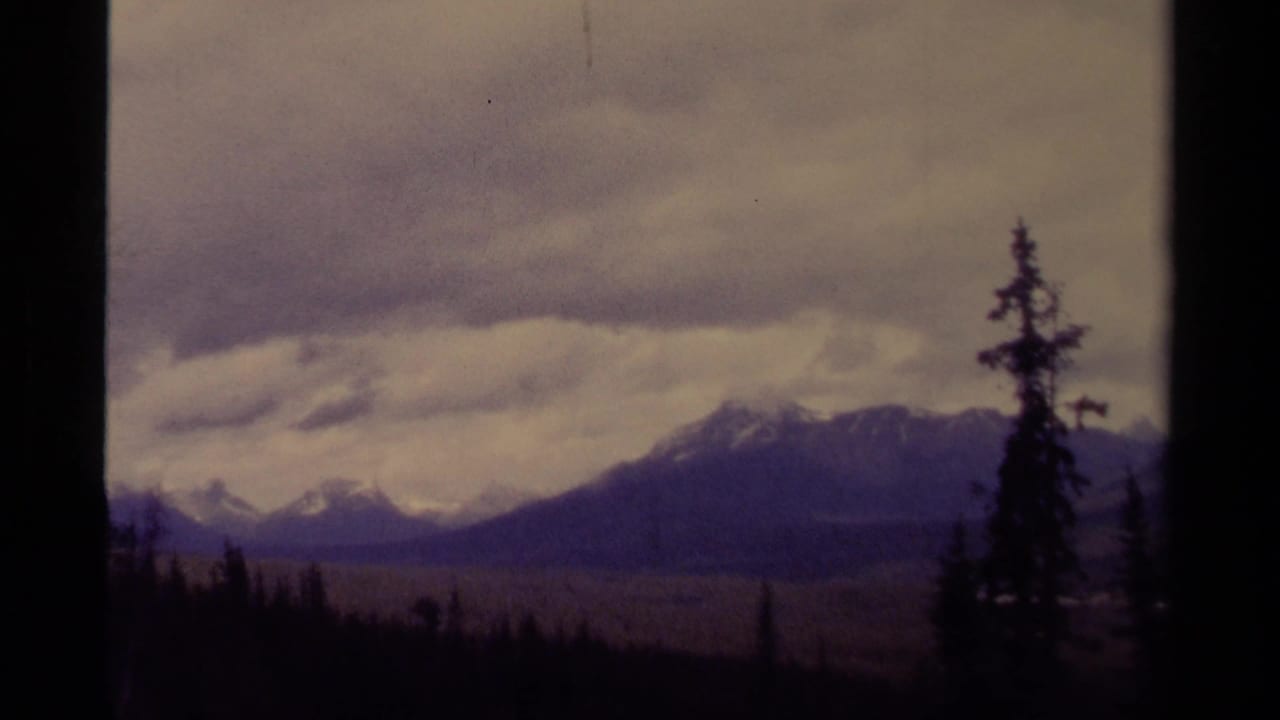 Snow-capped mountains beneath heavy clouds, framed by dark evergreen silhouettes.