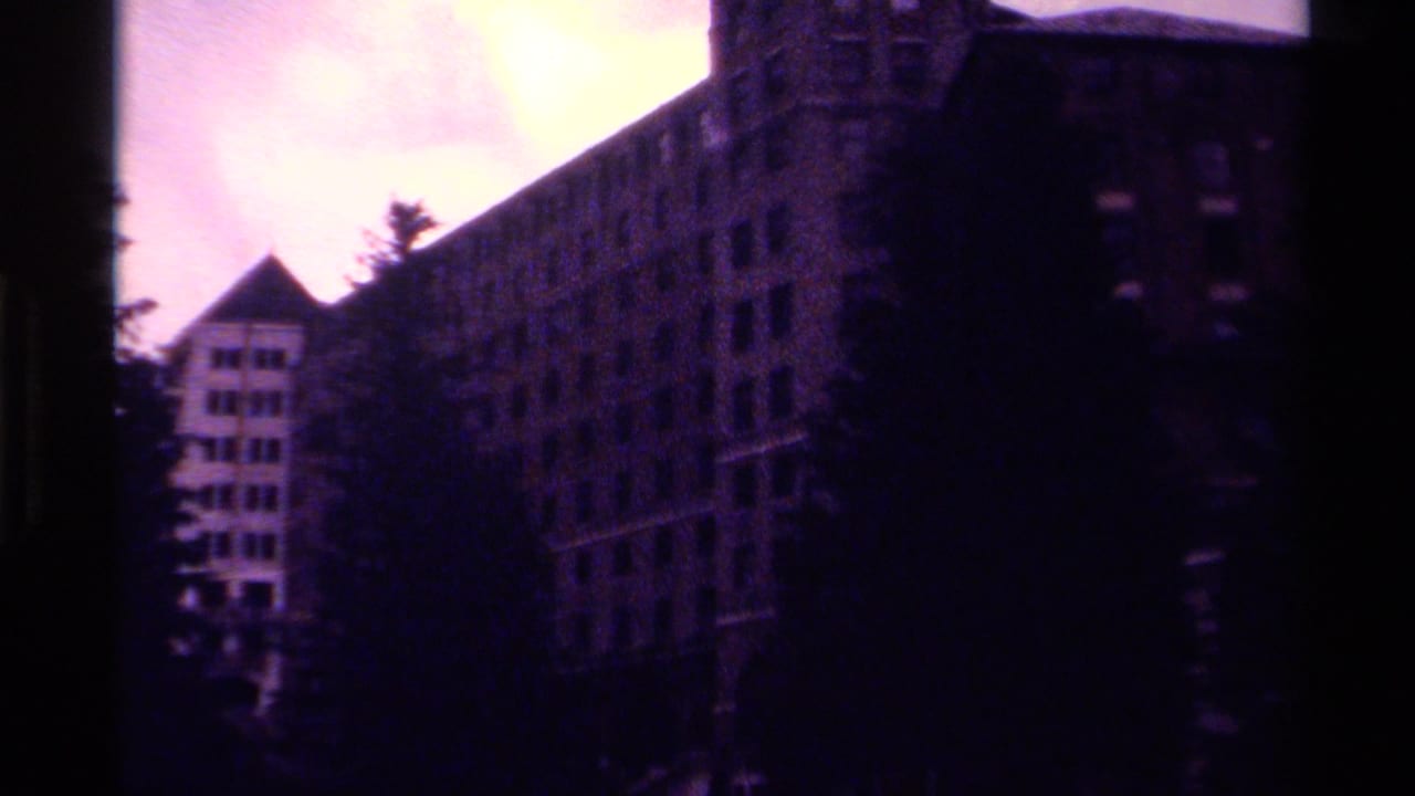 Large multi-story building with rows of windows rises behind trees near a dark foreground.