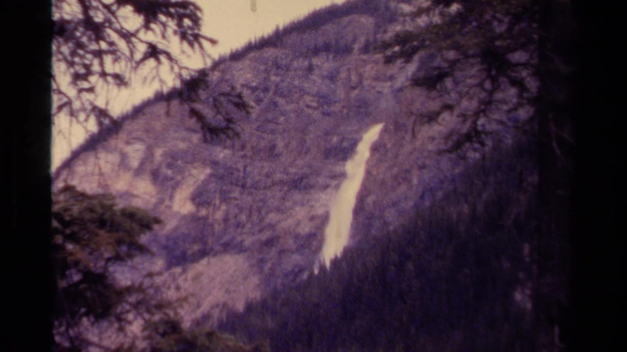 Bright waterfall descending a dark wooded mountain slope behind foreground branches.