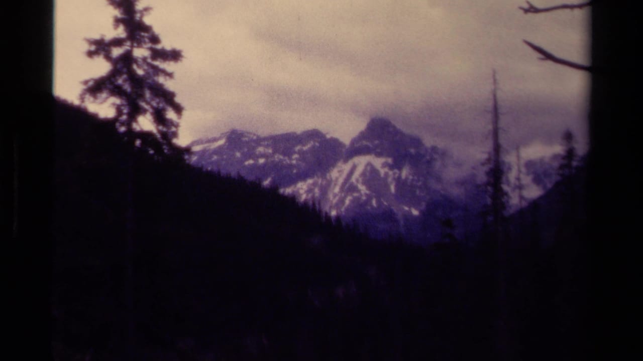 Snow-streaked mountain peaks rise beyond dark forested slopes and silhouetted evergreens.