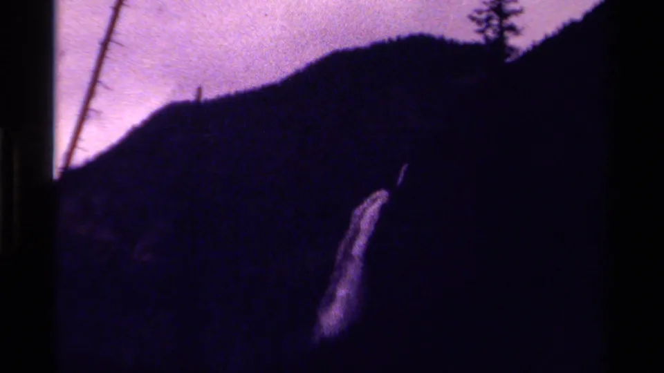 A narrow waterfall drops down a dark Canadian mountain slope, with silhouetted trees and heavy 8mm color shift.