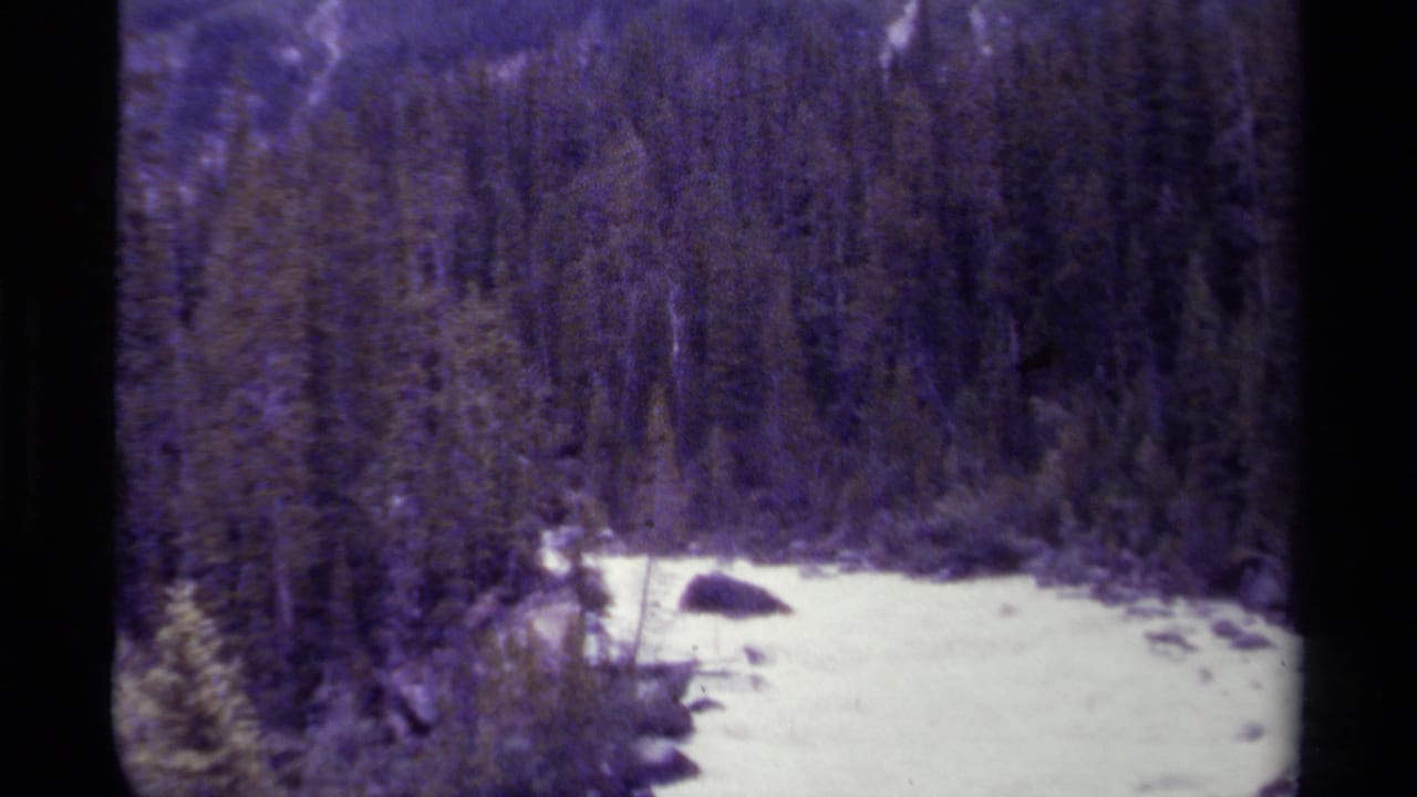 Rushing pale water curves through a dark evergreen forest with rocks along the bank.