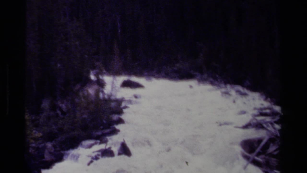 1979 Canadian home-movie frame of turbulent white water in a wooded channel, bordered by rocks, brush, and shadowed trees.