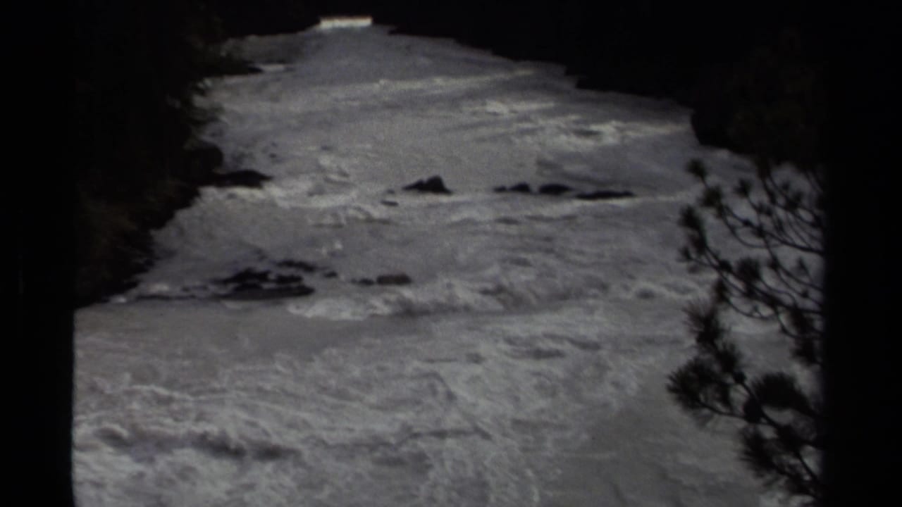1979 Canadian 8mm frame showing turbulent river water bordered by dark evergreen forest and silhouetted trees.