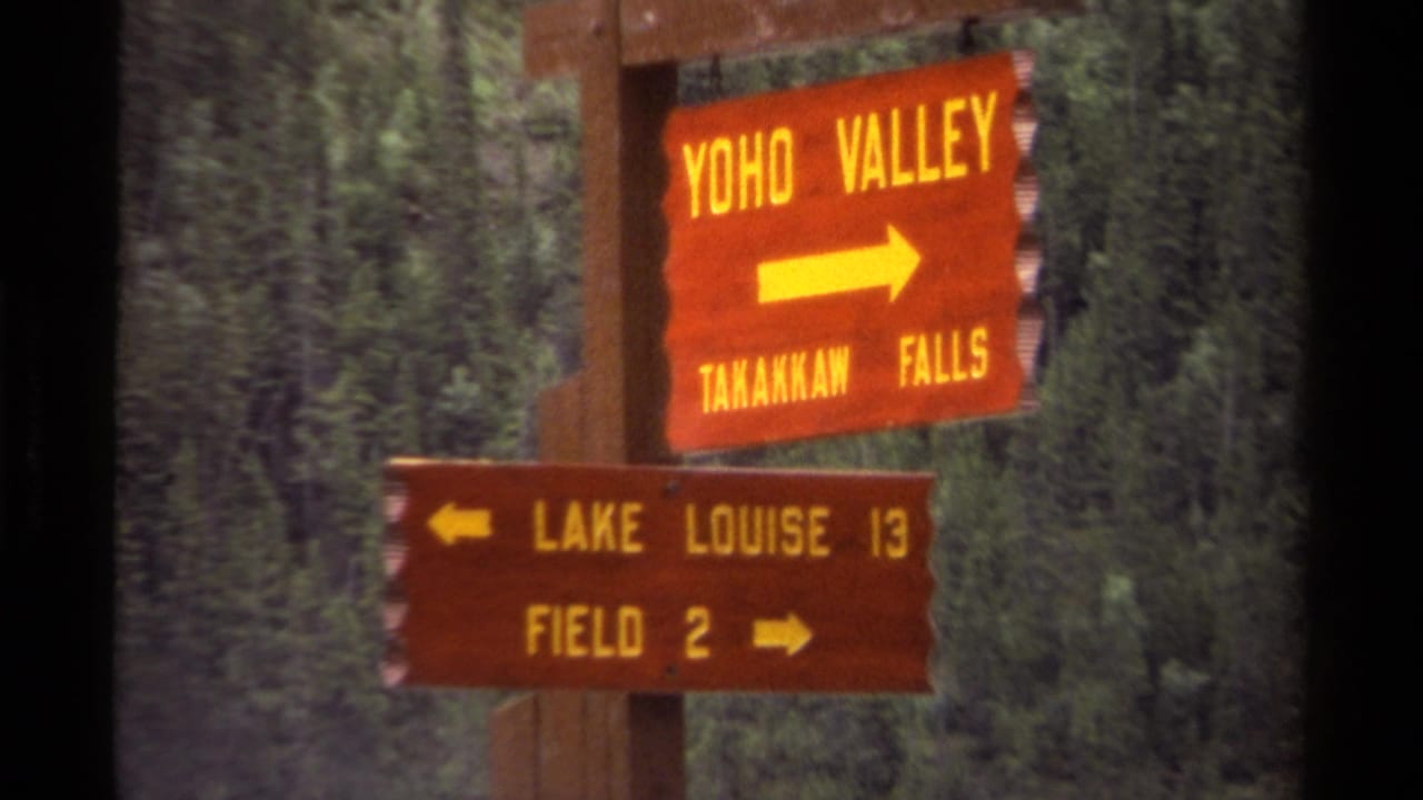 Wooden directional signs point toward Yoho Valley, Takakkaw Falls, Lake Louise, and Field.