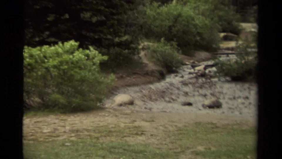 1979 Canadian 8mm view of rocky ground, shallow streambed, green shrubs, grass, and evergreen trees at the mountain base.