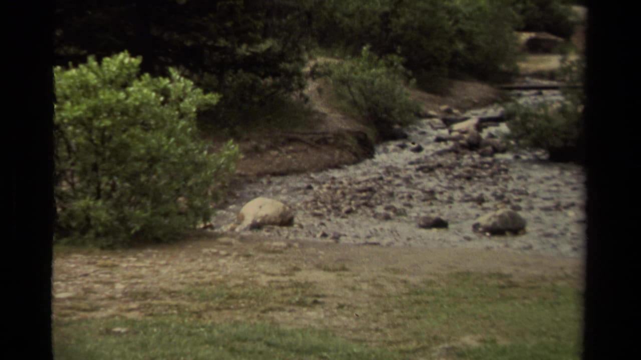 1979 Canada 8mm frame showing a rocky creek bed, green shrubs, grass, and scattered stones with dark film-frame edges.