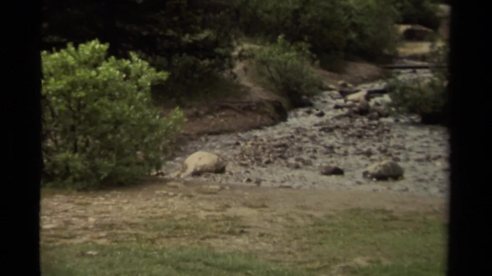 1979 Canada 8mm frame showing a rocky creek bed, green shrubs, grass, and scattered stones with dark film-frame edges.