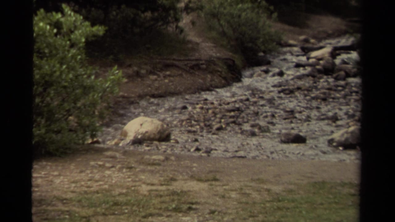Shallow rocky creek bed with grass in the foreground and shrubs at the side.