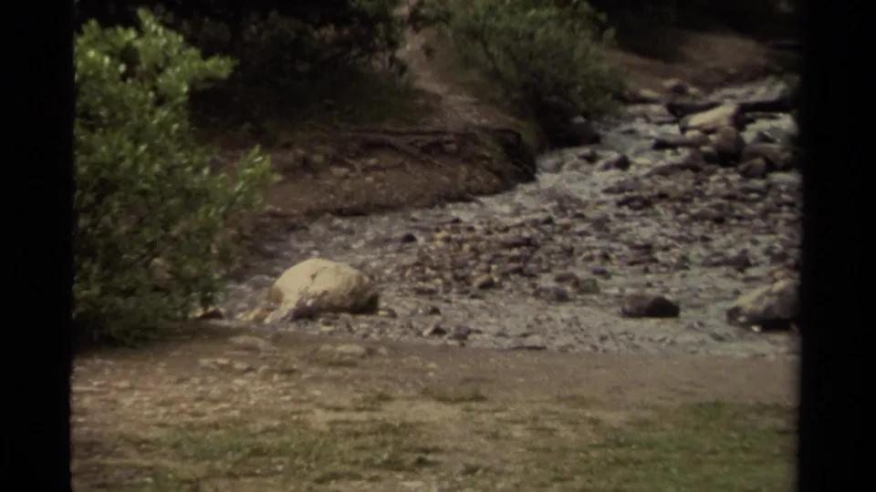 1979 Canada 8mm frame of a shallow rocky creek area with foreground grass, shrubs, stones, and dark vertical borders.