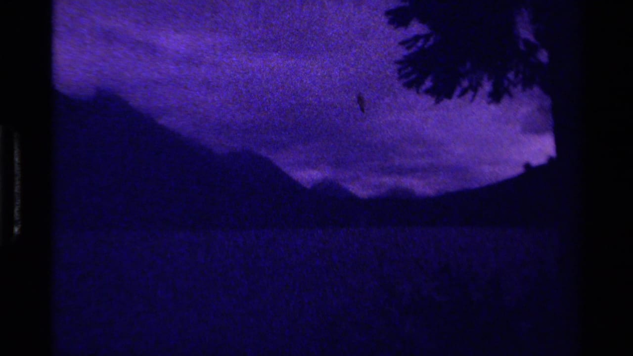 Dark mountain ridge under a purple-blue cloudy dusk sky with a silhouetted branch at upper right.