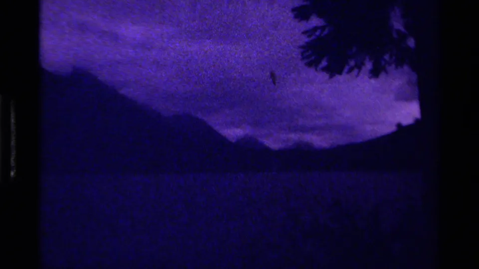 1979 Canada 8mm frame showing a shadowed mountain landscape at dusk, purple-blue cloud cover, and a dark branch near the top edge.