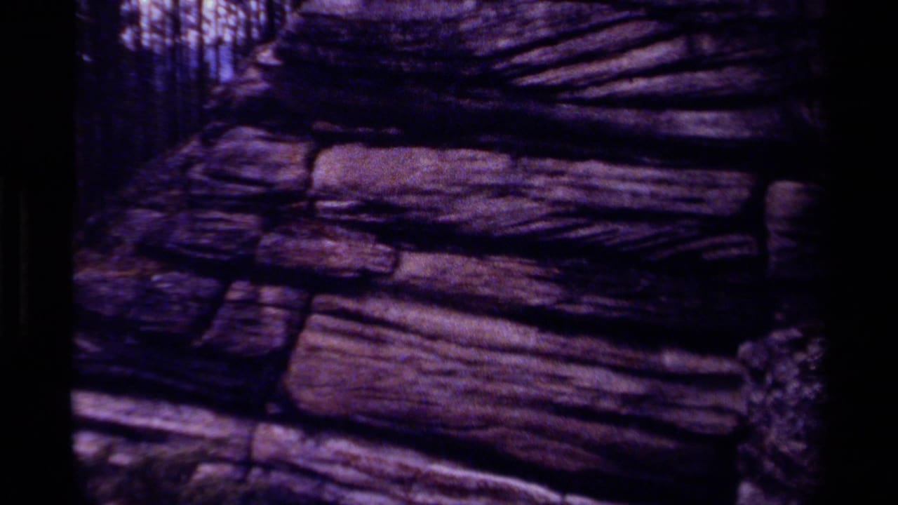 Layered rock wall with dark canyon edges and purple film tint.