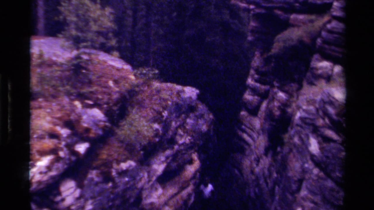 1979 Canadian 8mm frame focused on mossy rock formations and deep shadow within a narrow wooded gorge.