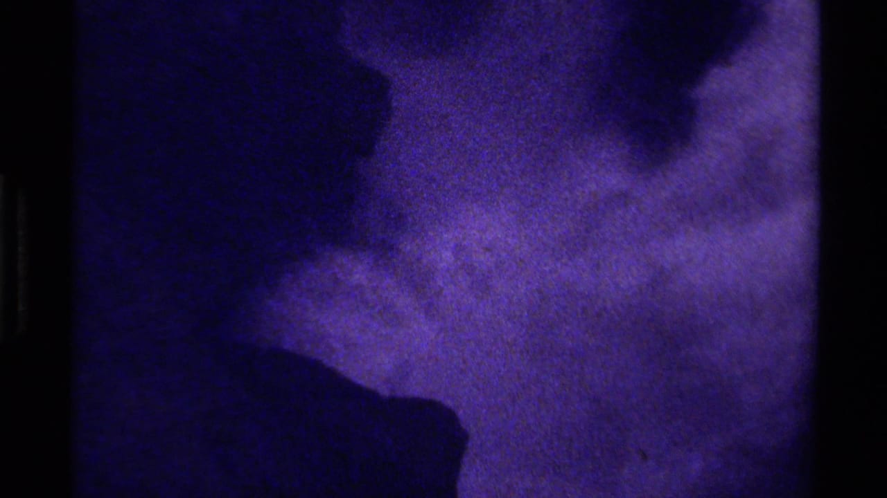 Purple-tinted water surface with dark frame edges and soft shadowed areas.