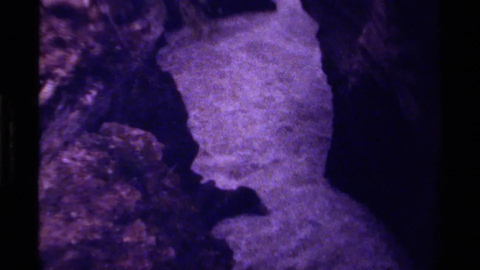 1979 Canada 8mm frame looking along pale stream water enclosed by rough canyon rock and deep shadow.