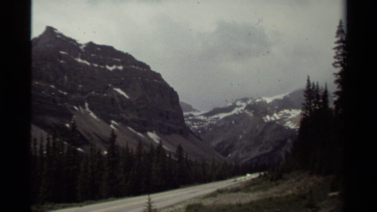 Snowy mountain valley and forest seen from beside a road.