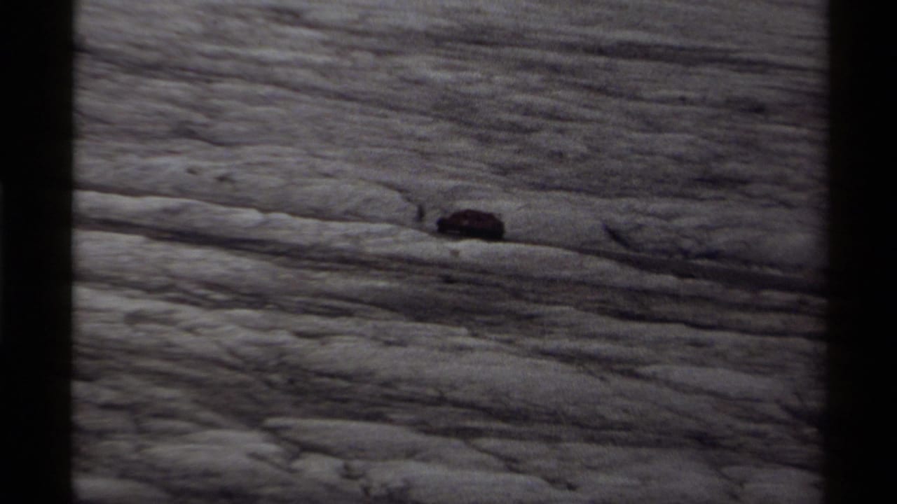 A distant black bear appears on pale striated rock in 1979 Canadian home-movie footage.