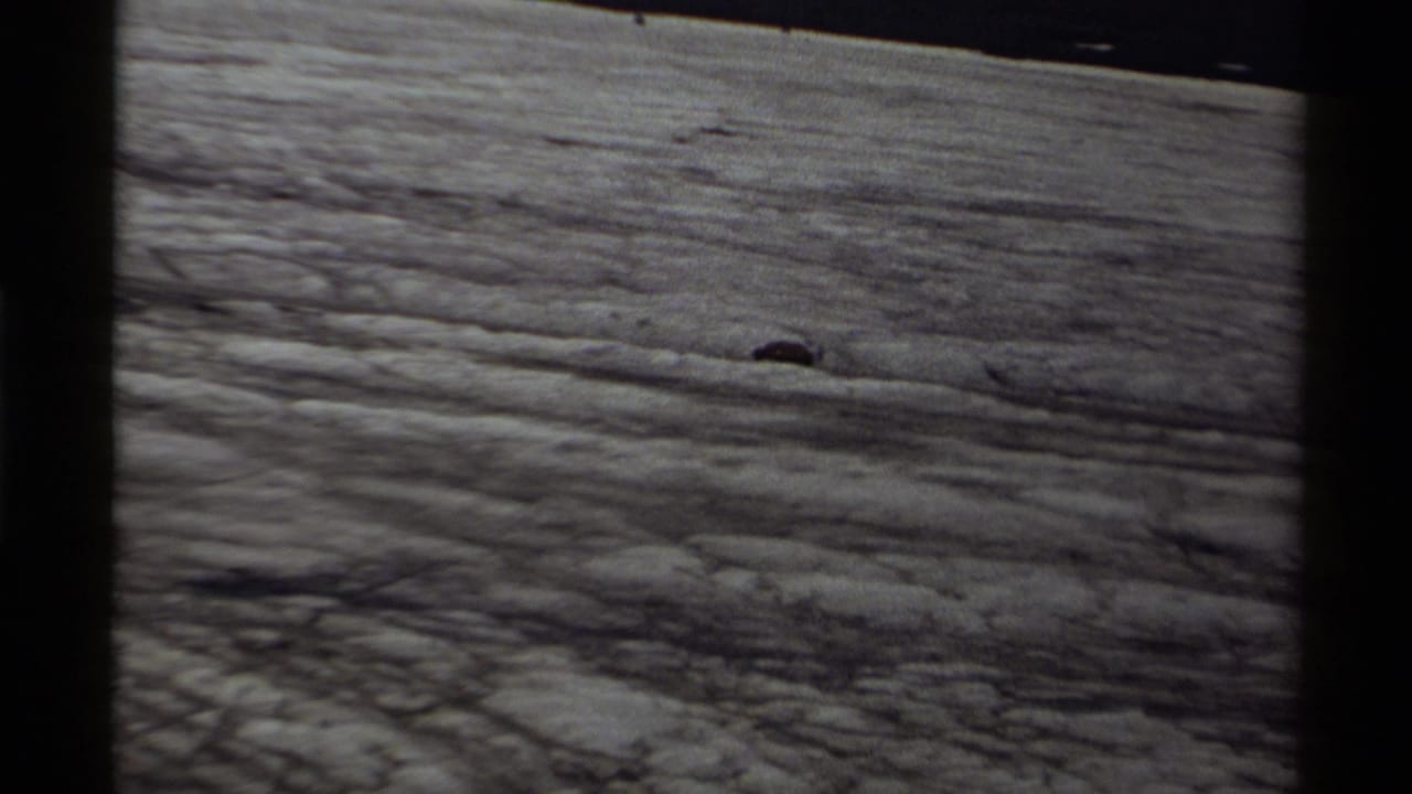 The bear remains small in frame while moving across open rocky terrain in Canada, as supported by the clip metadata.