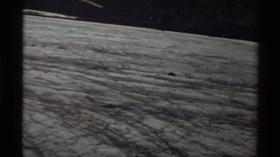 A small dark bear silhouette is visible against pale, textured rocky land in the 1979 Canada clip.
