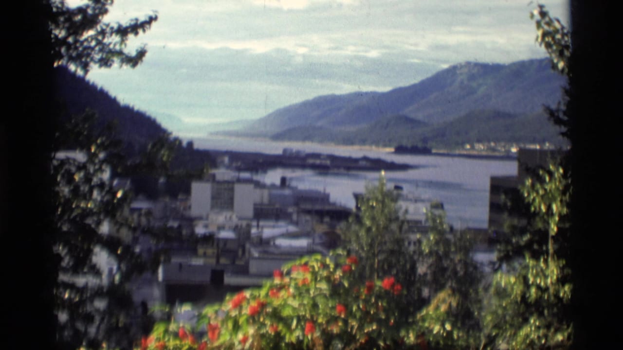 Mountain waterfront city seen through trees with red flowers in the foreground.