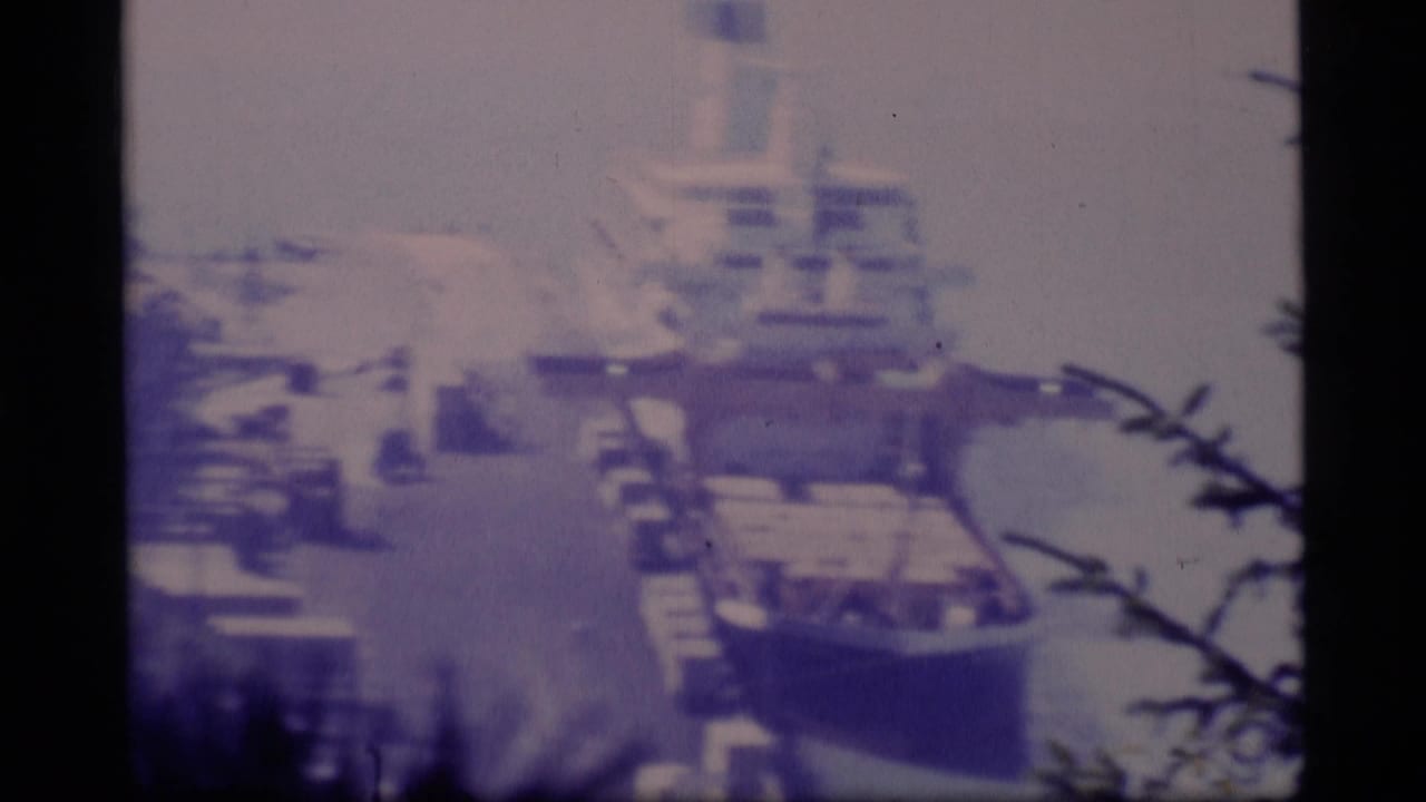 Large ship docked beside a pier, seen through dark foreground branches.