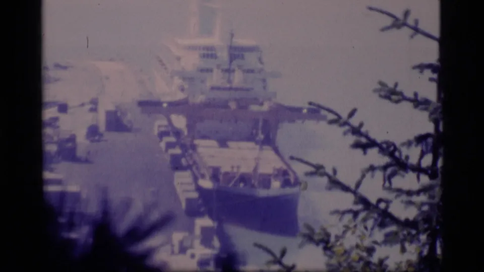 A large docked vessel in Alaska appears beyond silhouetted branches in a soft, purple-blue 8mm frame.