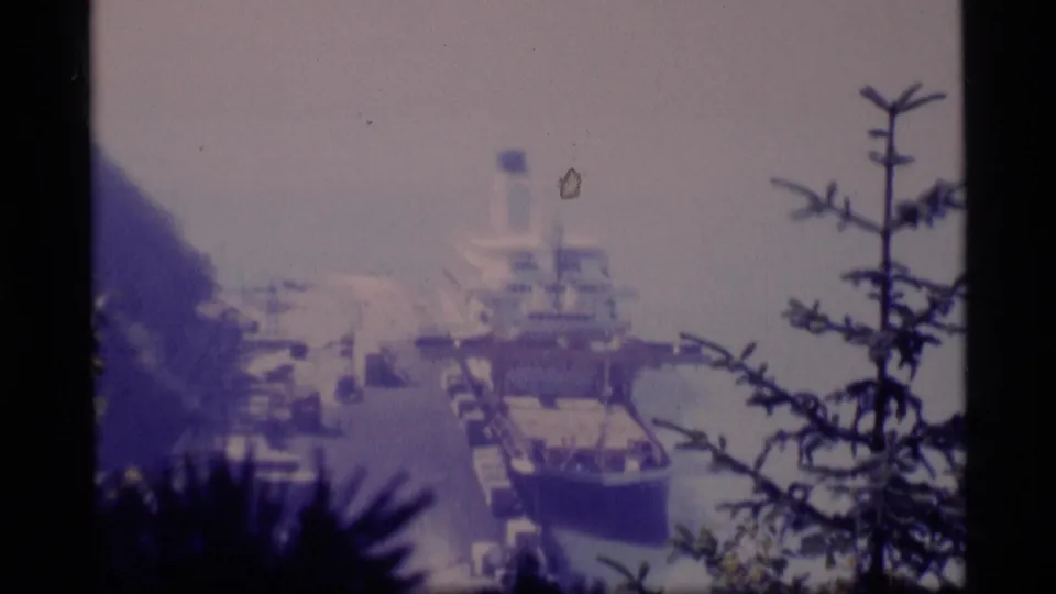 1977 Alaska harbor view with a large ship at the pier, dark hillside at left, and branches in the foreground.