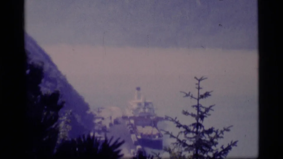 Wide 8mm view of a docked ship in Alaska, with shoreline, water, and silhouetted evergreen branches in the foreground.