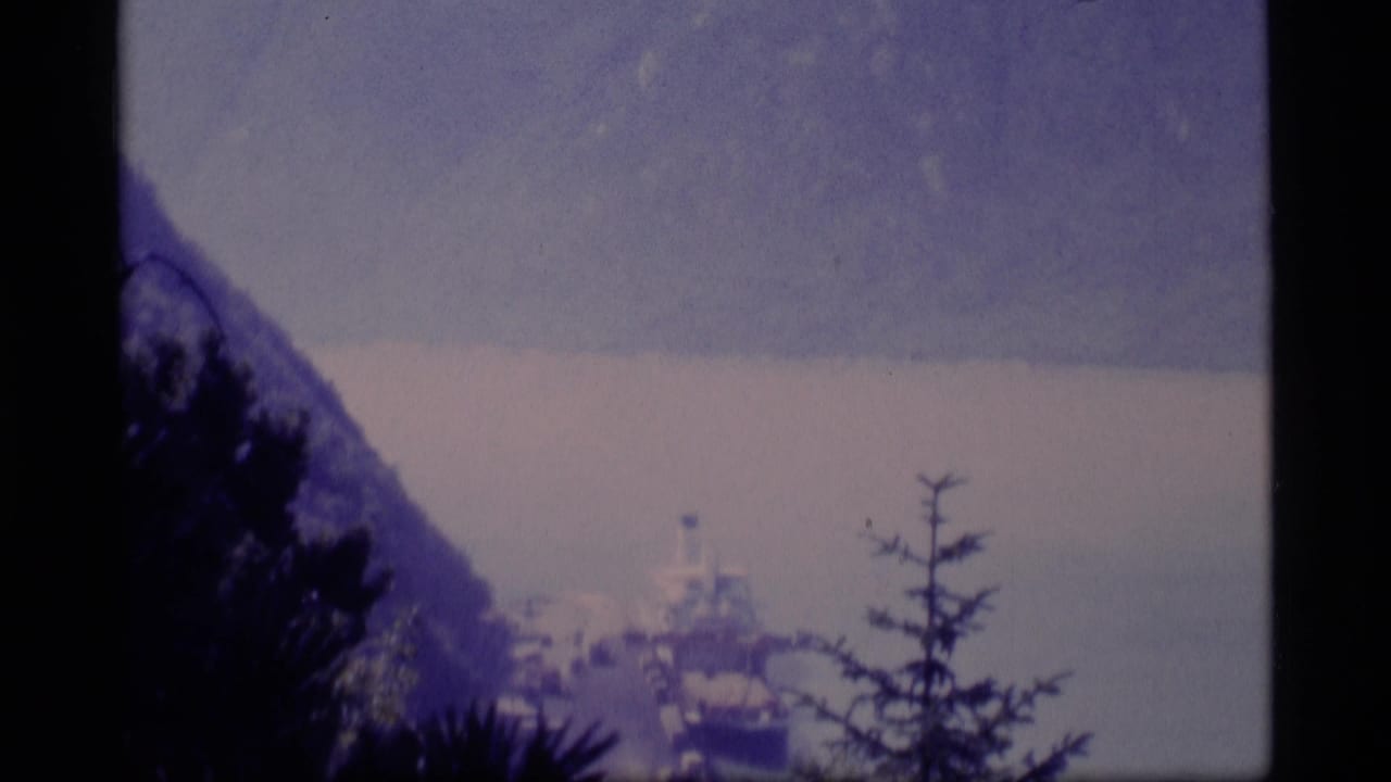 Distant ship on calm water below snow-dusted mountains, partly framed by trees.