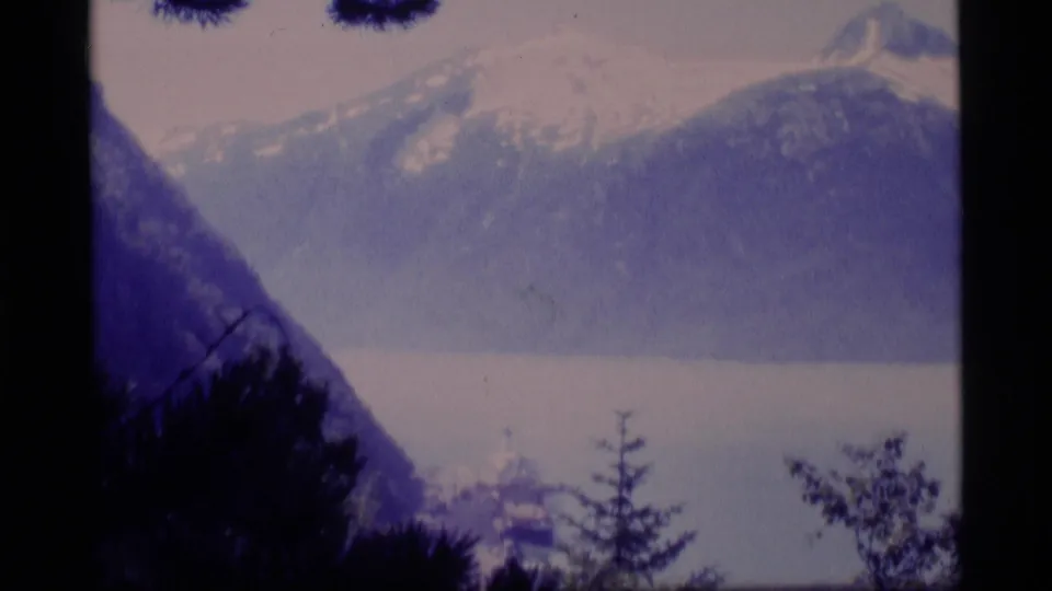 Soft 8mm view of Alaska mountains and water, with foreground trees and a small distant ship near the shoreline.