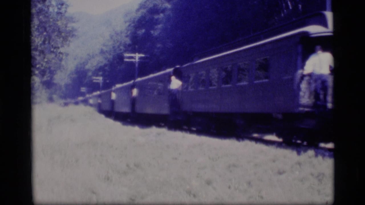 Passenger train moving past grass and trees with a person standing on an open car step.