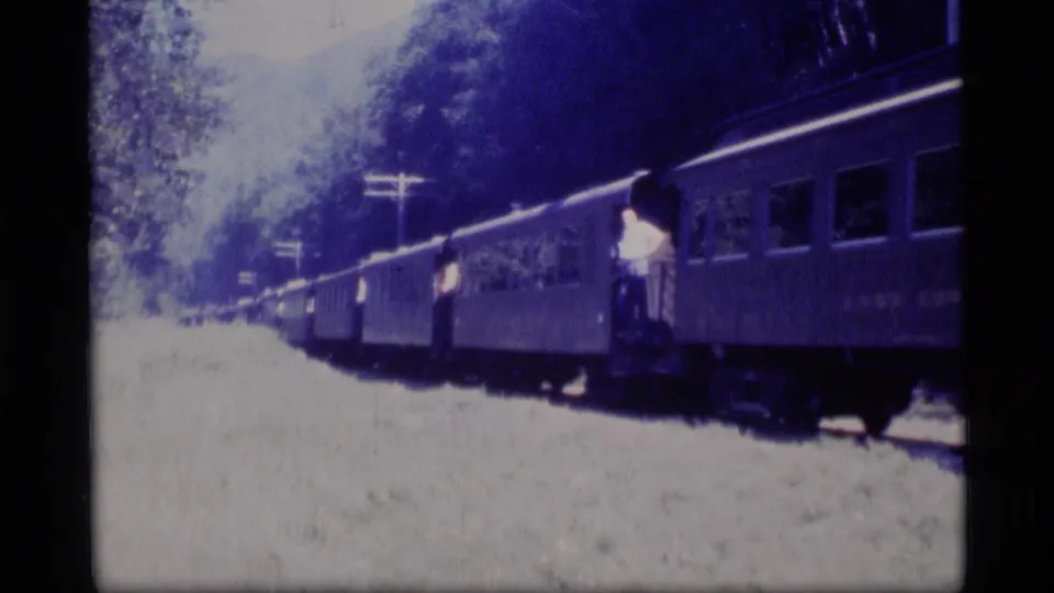 Passenger train in a forested Alaska setting, with a person in a light shirt on the open end platform of a rail car.