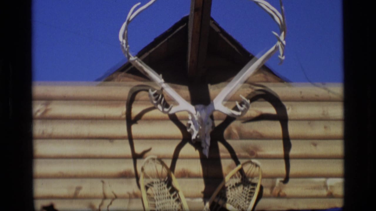 Mounted deer skull and antlers on a cabin wall against blue sky.
