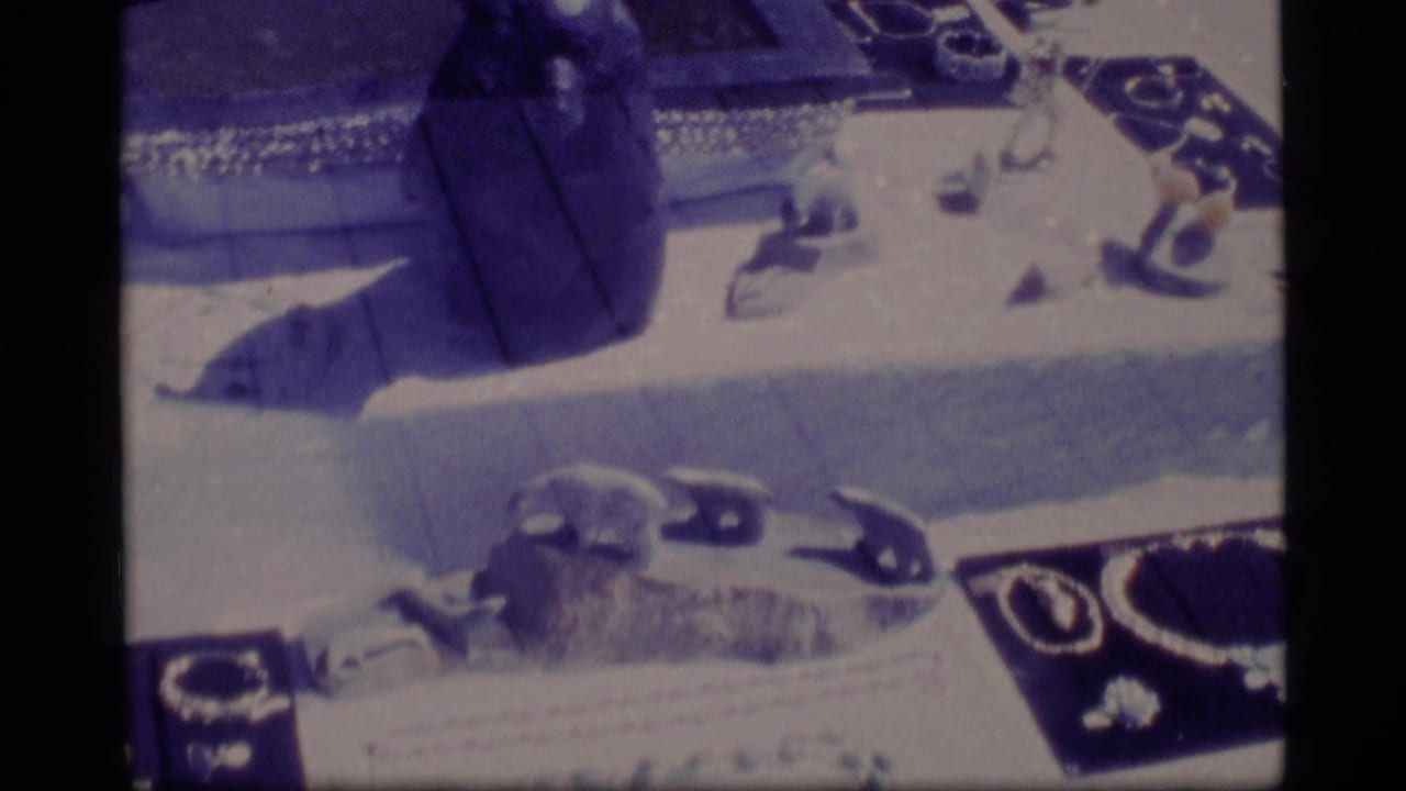 1977 Alaska 8mm home-movie frame with pale bear forms on snow or ice, seen through heavy blue color shift and film grain.