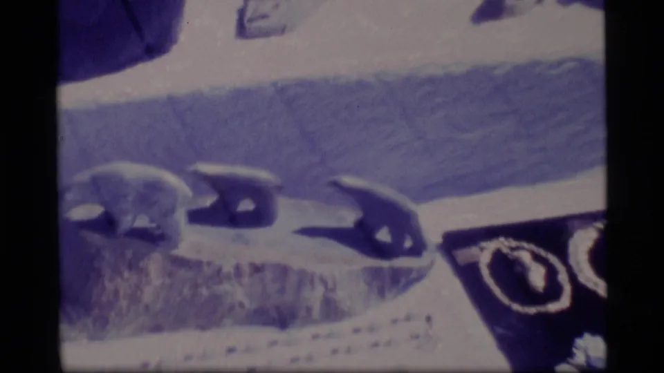 Blue-shifted 1977 Alaska 8mm frame showing three pale bear-like forms on a snowy or icy surface.