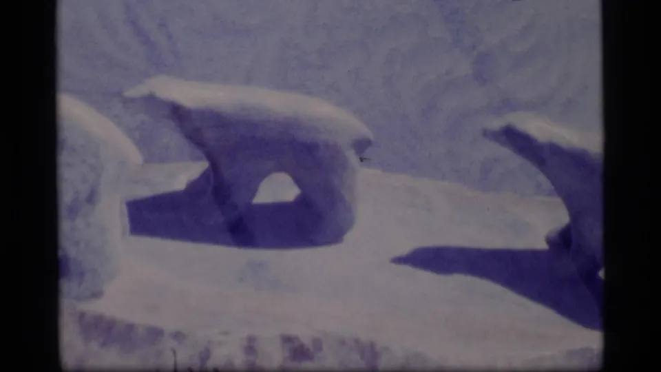 Close 1977 Alaska 8mm frame of a pale bear-like form on snow or ice, with another form partly visible at the right edge.
