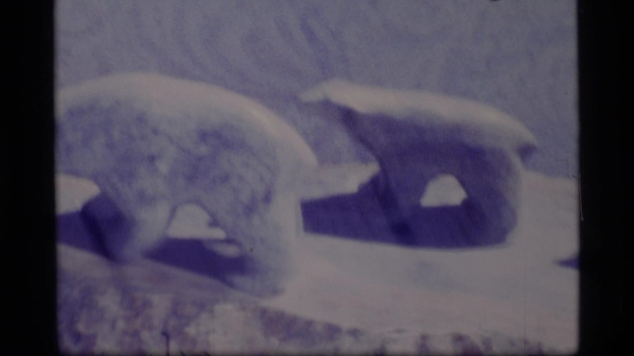 1977 Alaska 8mm frame showing polar bears near a seal-like animal in a snowy or icy setting, with strong blue color shift.