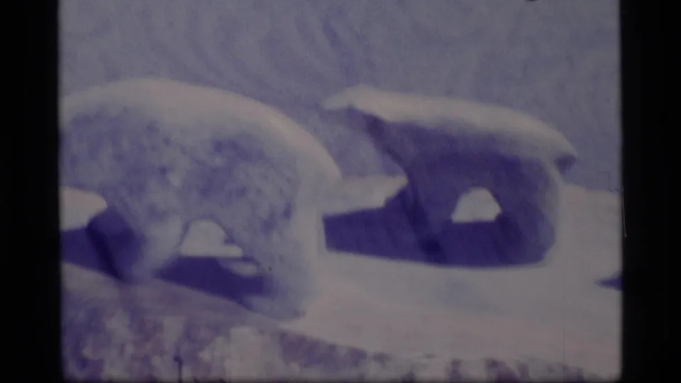 1977 Alaska 8mm frame showing polar bears near a seal-like animal in a snowy or icy setting, with strong blue color shift.