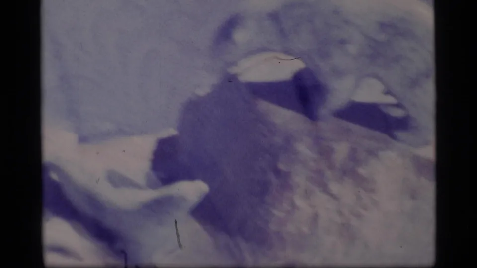 Soft 8mm frame from the Alaska clip showing polar bear forms beside snowy ground and dark rock shapes.