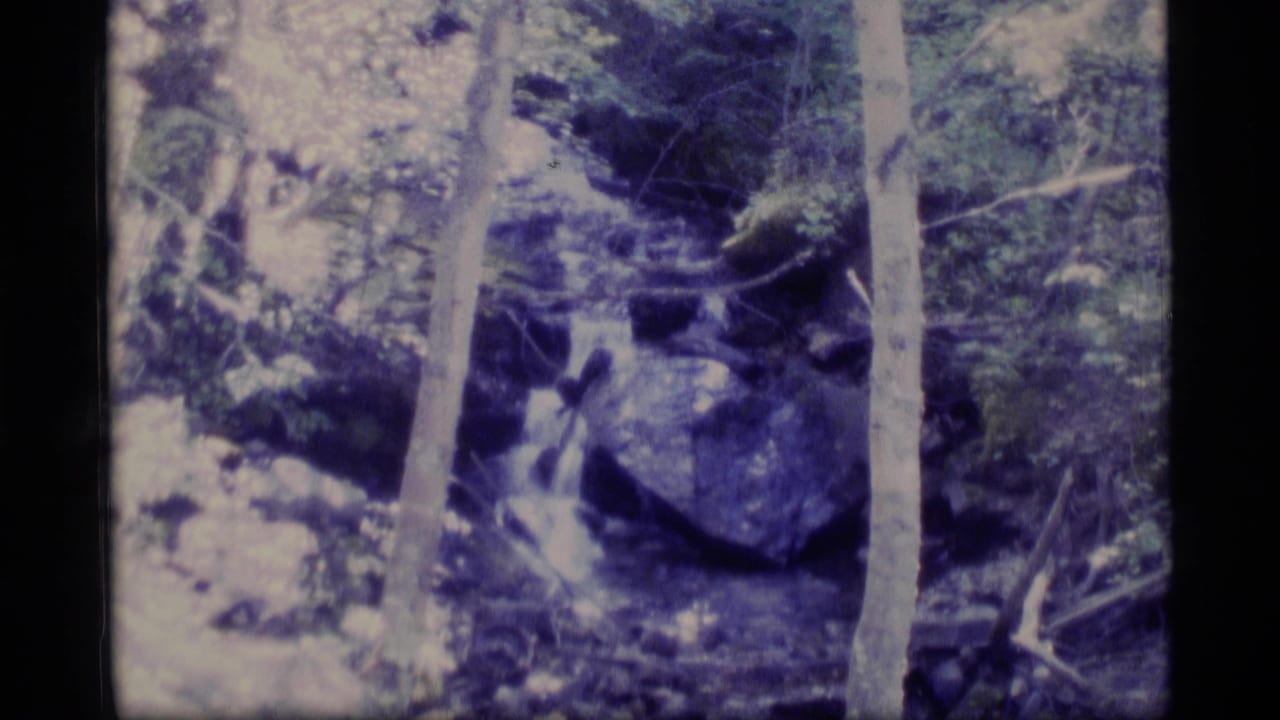 1977 8mm Alaska home-movie frame showing a rocky forest stream area with tall trunks, shaded foliage, and soft purple-blue aging color.