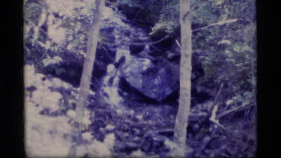 1977 8mm Alaska footage frame of a small forest cascade flowing around rocks, partly obscured by trees and aged film color shift.