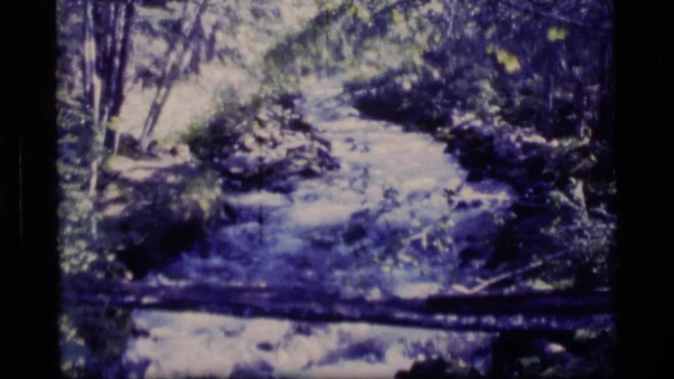 1977 Alaska 8mm home-movie frame showing a shallow stream running through a wooded area, with rocks, banks, trees, and a fallen branch.
